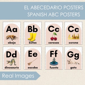 Carteles imprimibles del alfabeto español, carteles de vocabulario en español, sonidos iniciales, aprendizaje temprano, carteles de decoración del aula, educación en el hogar