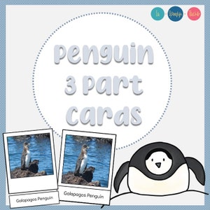 Types of Penguins 3 Part Cards, Montessori Cards, Winter Animals Cards, Educational Material, Nature Study Homeschool, Nomenclature Cards