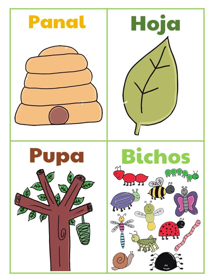 Spanish Bugs Flashcards Early Learning Cards Etsy