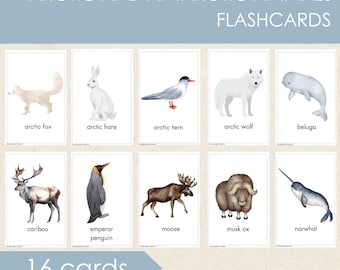 Arctic Animals Flashcards, Animal Vocabulary Cards, Winter Flashcards, Montessori Materials, Nature Cards, Early Education, Preschool