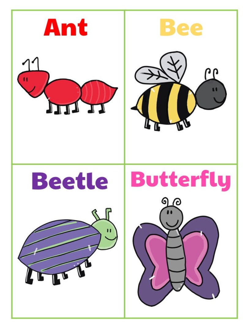 Bugs Flashcards Animals Flashcards Insects Flashcards Etsy Bugs Flashcards Animals Flashcards Insects Flashcards Etsy