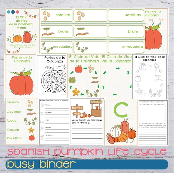 Pumpkin Life Cycle Spanish Binder Spanish Fall Busy Binder