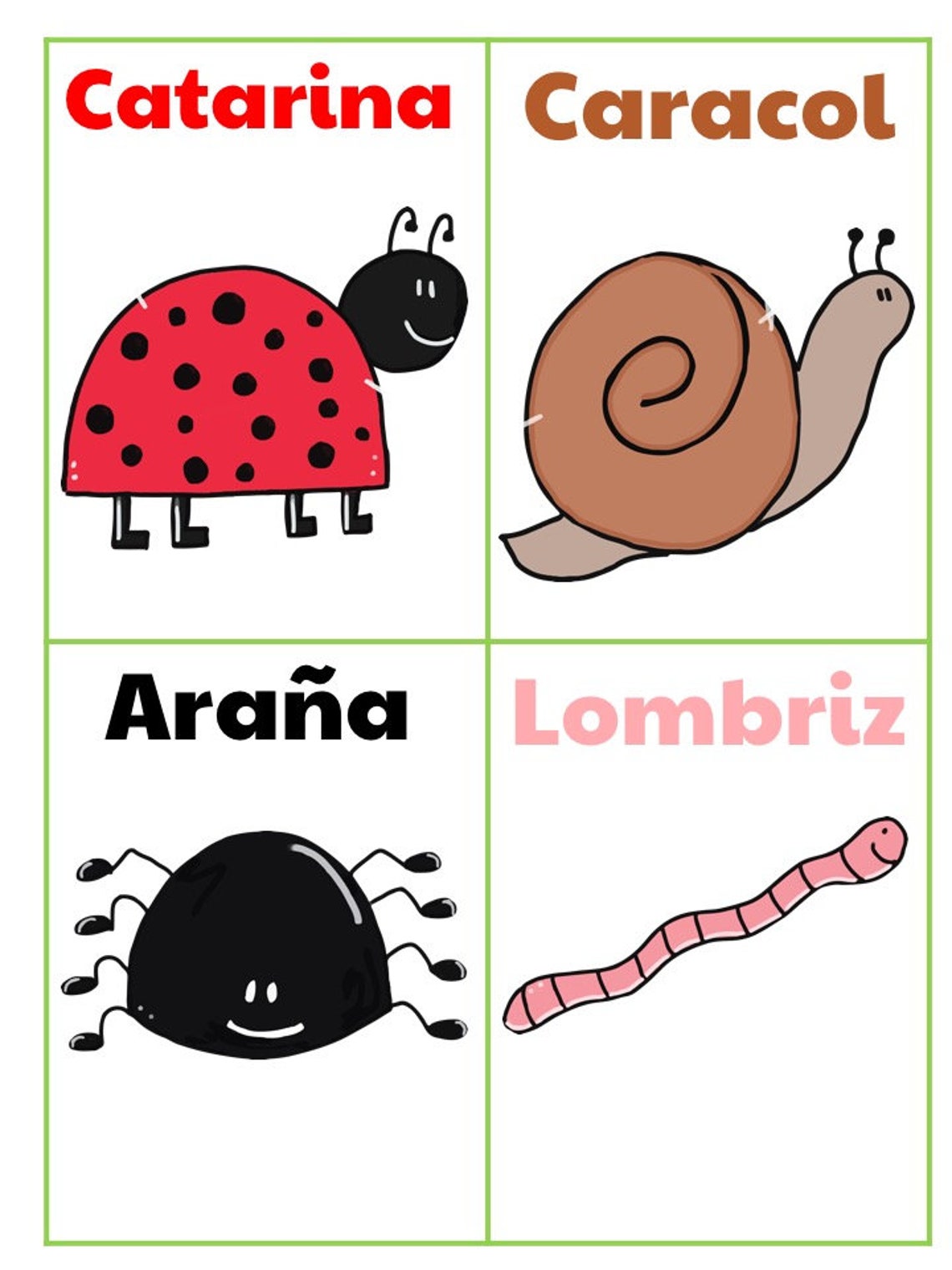 Spanish Bugs Flashcards Early Learning Cards | Etsy