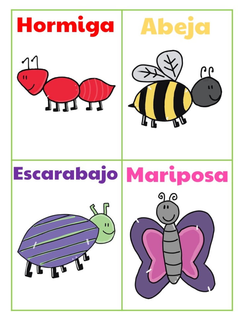 Spanish Bugs Flashcards Early Learning Cards Etsy