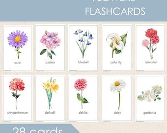 Blumen Karteikarten, Montessori Homeschool Printable (PDF)