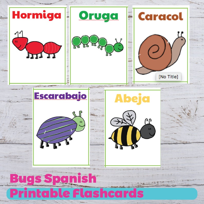 Spanish Bugs Flashcards Early Learning Cards Etsy