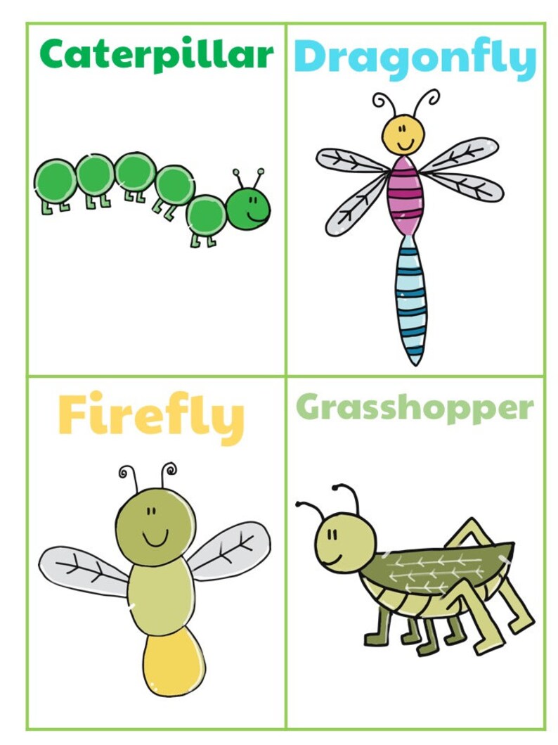 Bugs Flashcards Animals Flashcards Insects Flashcards Etsy Bugs Flashcards Animals Flashcards Insects Flashcards Etsy