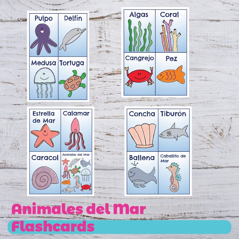 Spanish Sea Pets Flashcards - Sea Pets Flashcards - Spanish Flashcards - Printable Flashcards - Animal Flashcards - Homeschool graphic regarding Spanish Flashcards Printable referred to as Spanish Sea Pets Flashcards - Sea Pets Flashcards - Spanish Flashcards - Printable Flashcards - Animal Flashcards - Homeschool