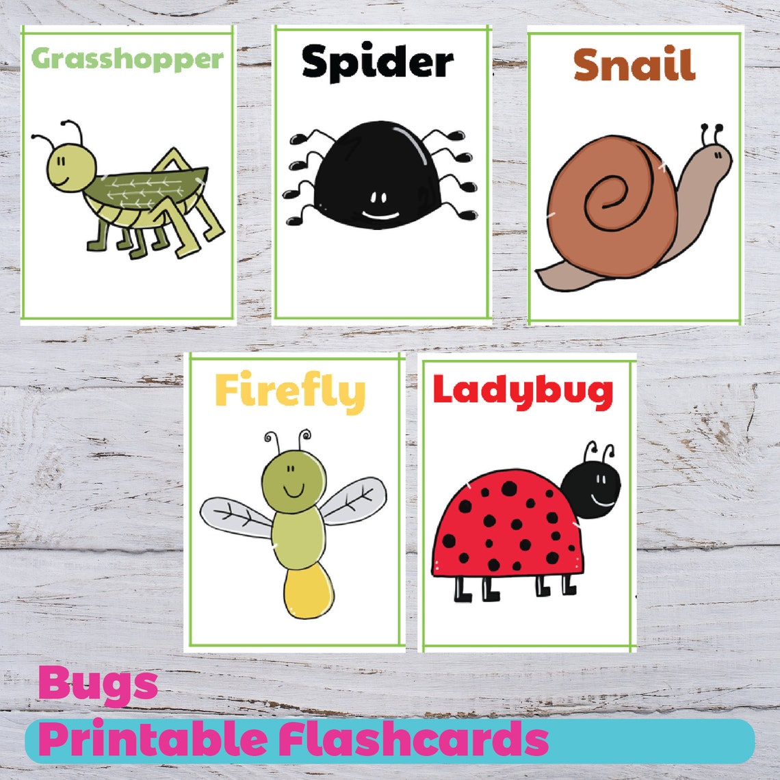 bugs-flashcards-animals-flashcards-insects-flashcards-etsy