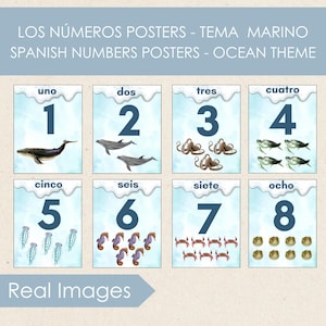 May include: A set of eight educational posters featuring Spanish numbers 1-8 with an ocean theme. Each poster displays a number with a corresponding illustration of marine life, including a whale, dolphins, octopus, and sea turtles. The text "Real Images" is at the bottom.