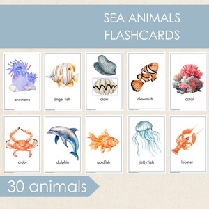 Oceaandieren afdrukbare flashcards, educatieve kaarten, woordenschatkaarten, Montessori-materiaal, thuisonderwijs, vroeg leren, zeedieren
