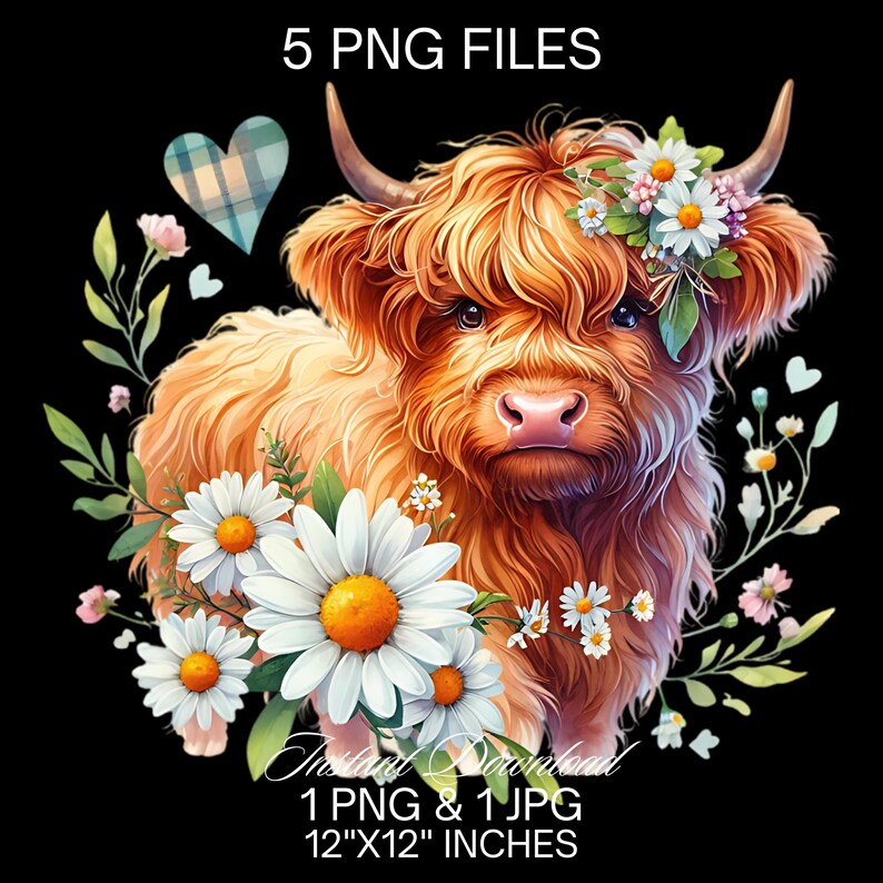 Highland Cow Watercolor Clipart: Spring Daisy Flowers (PNG, JPG) - Etsy