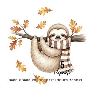 Cozy Sloth Autumn Clipart | 5 PNG & JPG | Sloth Hanging from Tree with Scarf | Fall Leaves | Cute Forest Animal Sublimation Commercial Use