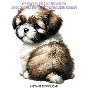27 cachorros de Shih Tzu PNG Clipart / Acuarela Shih Tzu Baby Dog para hacer tarjetas, álbumes de recortes, diario basura, sublimación para uso comercial