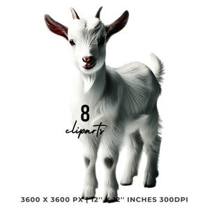 8 枚の水彩画の白いヤギのクリップアート：春のイースター PNG（デジタルダウンロード）