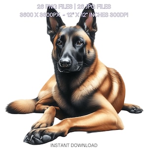 26 Clipart de PNG de cão belga malinois, criação de cartão de cão em aquarela, scrapbooking, diário de lixo, ilustrações de sublimação para uso comercial