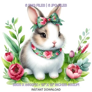 6 Clipart PNG printemps petit lapin, aquarelle coney, lapin de la ferme, fabrication de cartes, scrapbooking, journal indésirable, sublimation, usage commercial