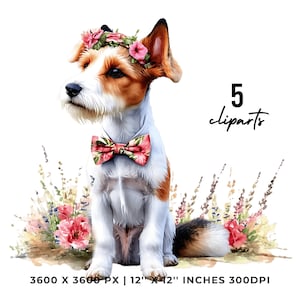 Easter Fox Terrier Dog Wearing Floral Bow & Bunny Ear Handband Ready for Easter Egg Hunting Clipart PNG | 5 Dog Lover Commercial Use
