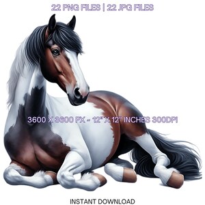 22 Tennessee Walking Horse PNG-clipart, aquarel boerderijdieren kaarten maken, scrapbooking, junkjournaling, sublimatieafbeelding commercieel gebruik