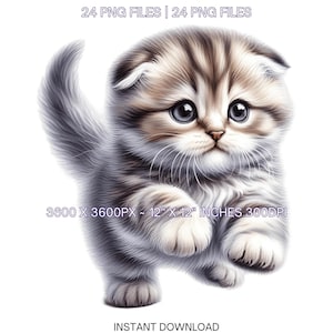 24 imágenes PNG de gatitos Scottish Fold, mascota de acuarela para crear tarjetas, scrapbooking, retrato de mascota por sublimación para uso comercial