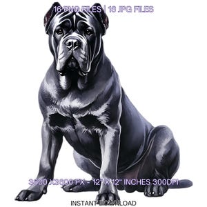 16 perros Cane Corso negros para retrato de mascota PNG Clipart / Acuarela Bebé Cane Corso Perro Tarjetas, Scrapbooking, Sublimación Uso Comercial