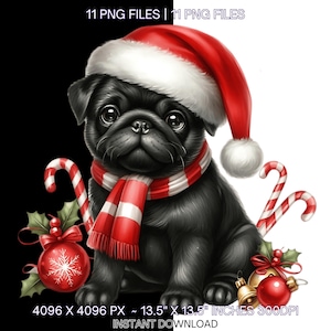 11 Black Pug with Santa Hat Clipart PNG | Christmas Pug Clipart | Dog Christmas | Xmas Dog Clipart PNG Images Sublimation | Commercial Use