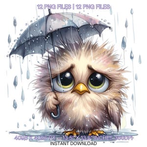 12 Pájaros agotados con un pequeño paraguas bajo la lluvia PNG / Clip art de pájaro gruñón peculiar Tarjeta de álbum de recortes de diario basura caprichosa Uso comercial