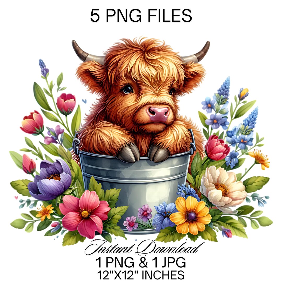 Highland Cow Watercolor Clipart PNG | 5 Cute Highland Cow in Bucket ...