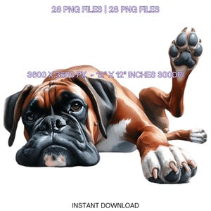 28 Boxer Dog PNG Clipart, Boxer Dog Aquarela para Fazer Cartões, Scrapbooking, Junk Journaling, Ilustrações de Sublimação Uso Comercial
