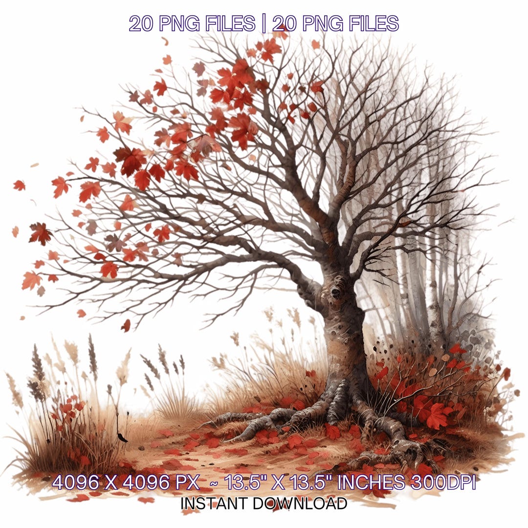 20 Fall Leaves From the Trees Clipart Fall Leaves Watercolor Png Fall Png Pile of Leaves PNG Leaf Clipart Autumn Commercial Use - Etsy Japan
