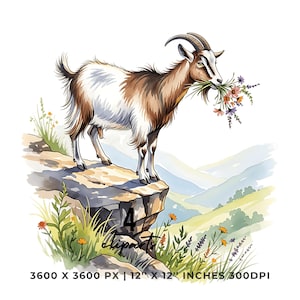 水彩ヤギのクリップアート：夏のハーブ PNG JPG ( )