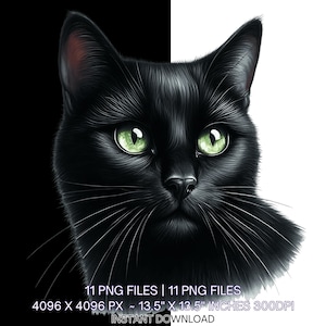 Black Cat Clipart Bundle: Watercolor Style (PNG, JPG Digital Download)