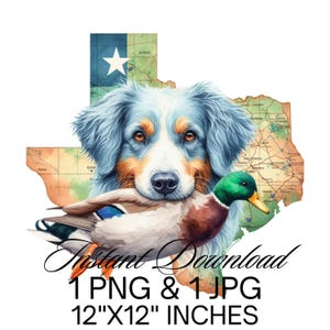 Chien de chasse au canard du Texas PNG | Carte TX pour Setter anglais, sublimation de chasseur de canards | Sublimation de canard | Téléchargement numérique Utilisation commerciale