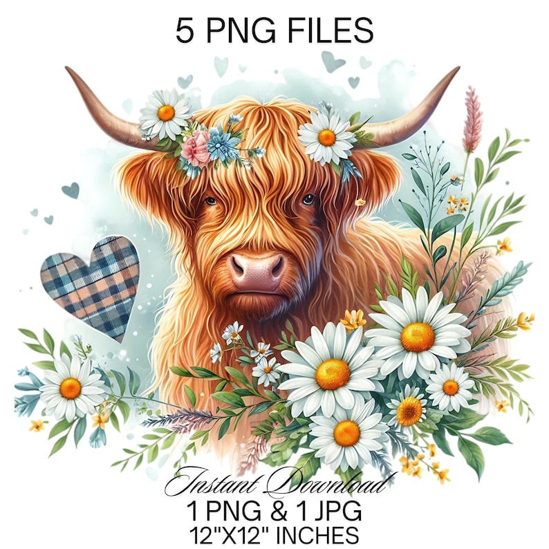 Highland Cow Watercolor Clipart: Spring Daisy Flowers (PNG, JPG) - Etsy