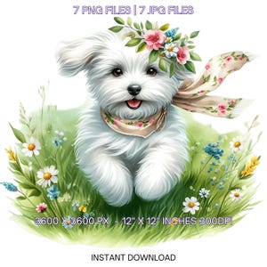 7 imágenes prediseñadas PNG de perrito blanco de primavera, perrito de acuarela, mascota familiar, creación de tarjetas, álbumes de recortes, diario basura, sublimación para uso comercial