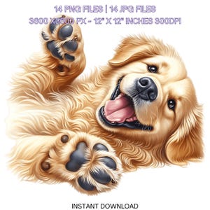 14 Golden Retriever Dog PNG Clipart Aquarela Golden Retriever para fazer cartões, Scrapbooking Junk Journaling, Sublimação Uso Comercial