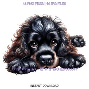 Cocker américain des cliparts | 12 aquarelles chiot cocker américain PNG pour carte, scrapbooking, sublimation, usage Commercial