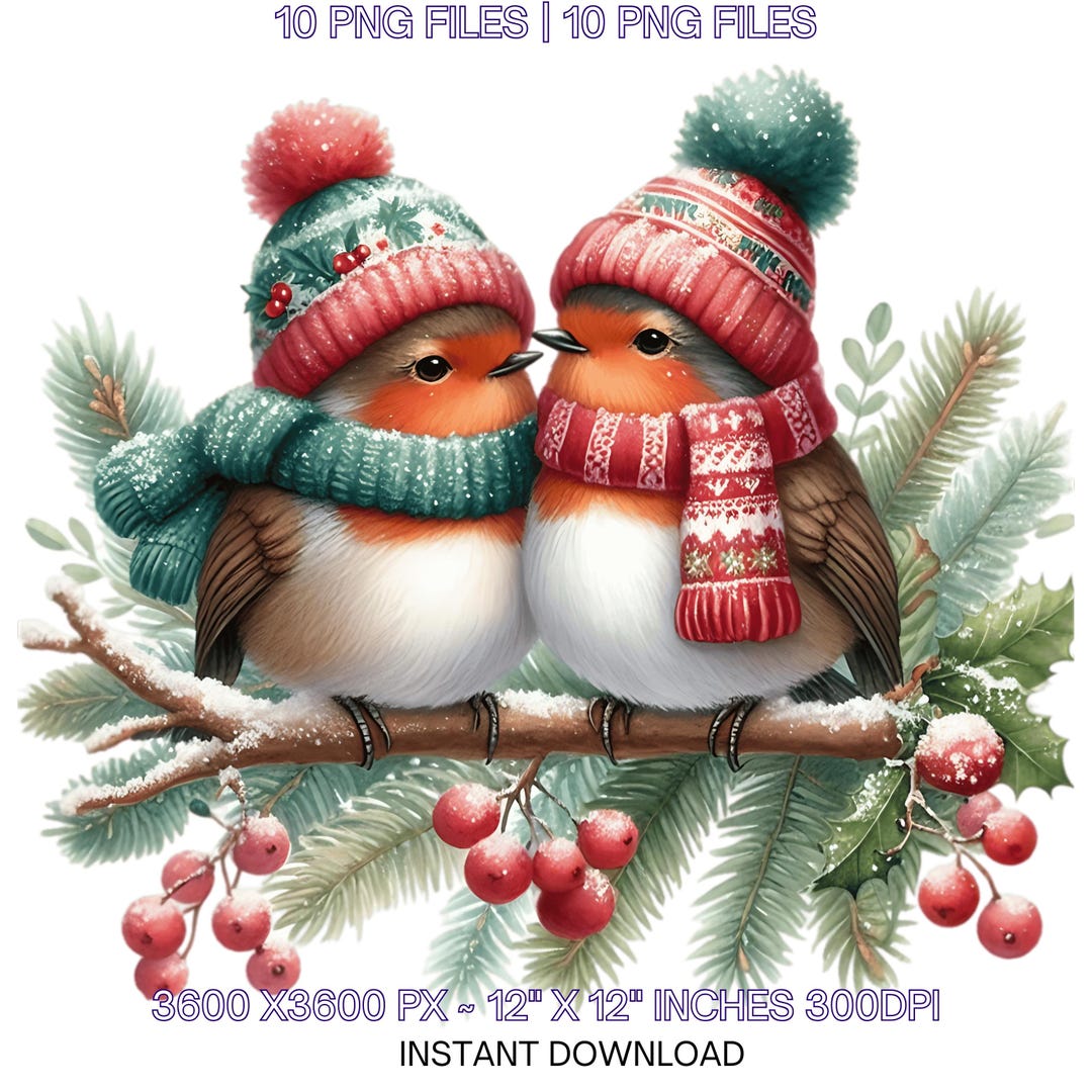 Christmas Robin Clipart PNG, Winter Birds With Hats (digital Download ...