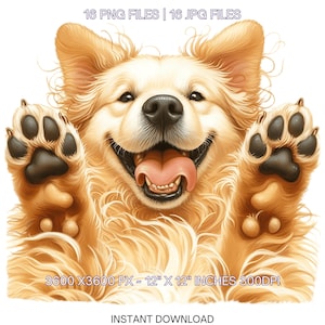 16 Golden Retriever Dog PNG Clipart Aquarela Golden Retriever para fazer cartões, Scrapbooking Junk Journaling, Sublimação Uso Comercial