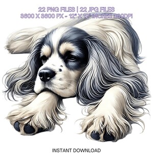 Clipart de Spaniel Francês, 22 PNG de Cachorro em Aquarela para Criação de Cartões, Scrapbooking, Junk Journaling, Sublimação de Retratos de Animais de Estimação para Uso Comercial