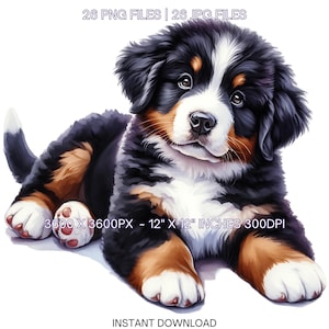 Berner Sennenhund PNG Clipart | Aquarell Baby Hund für Kartenherstellung, Scrapbooking, Junk Journaling, Sublimation kommerzielle Nutzung