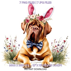 Easter Dogue De Bordeaux Dog Wearing Floral Bow & Bunny Ear Handband Ready for Easter Egg Hunting Clipart PNG | 7 Dog Lover Commercial Use