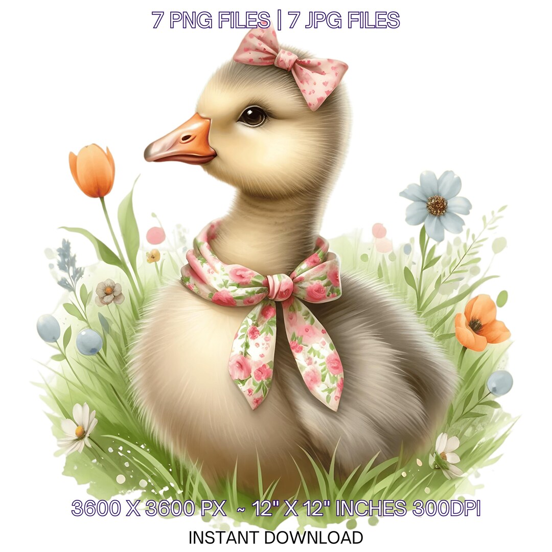 7 Spring Little Goose PNG Clipart, Watercolor Goose, Farm Goose, Card ...