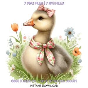 7 printemps petite oie PNG Clipart, aquarelle d'oie, oie de la ferme, fabrication de cartes, scrapbooking, journal indésirable, sublimation usage Commercial