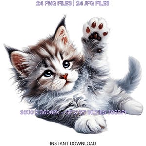 24 Maine Coon chaton PNG Clipart pour portrait d'animal de compagnie, chat aquarelle comme animal de compagnie, fabrication de cartes, scrapbooking, Illustrations par sublimation usage Commercial