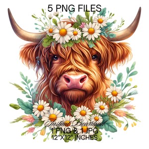 Highland Cow Watercolor Clipart PNG | 5 Highland Cow Heart & Spring ...