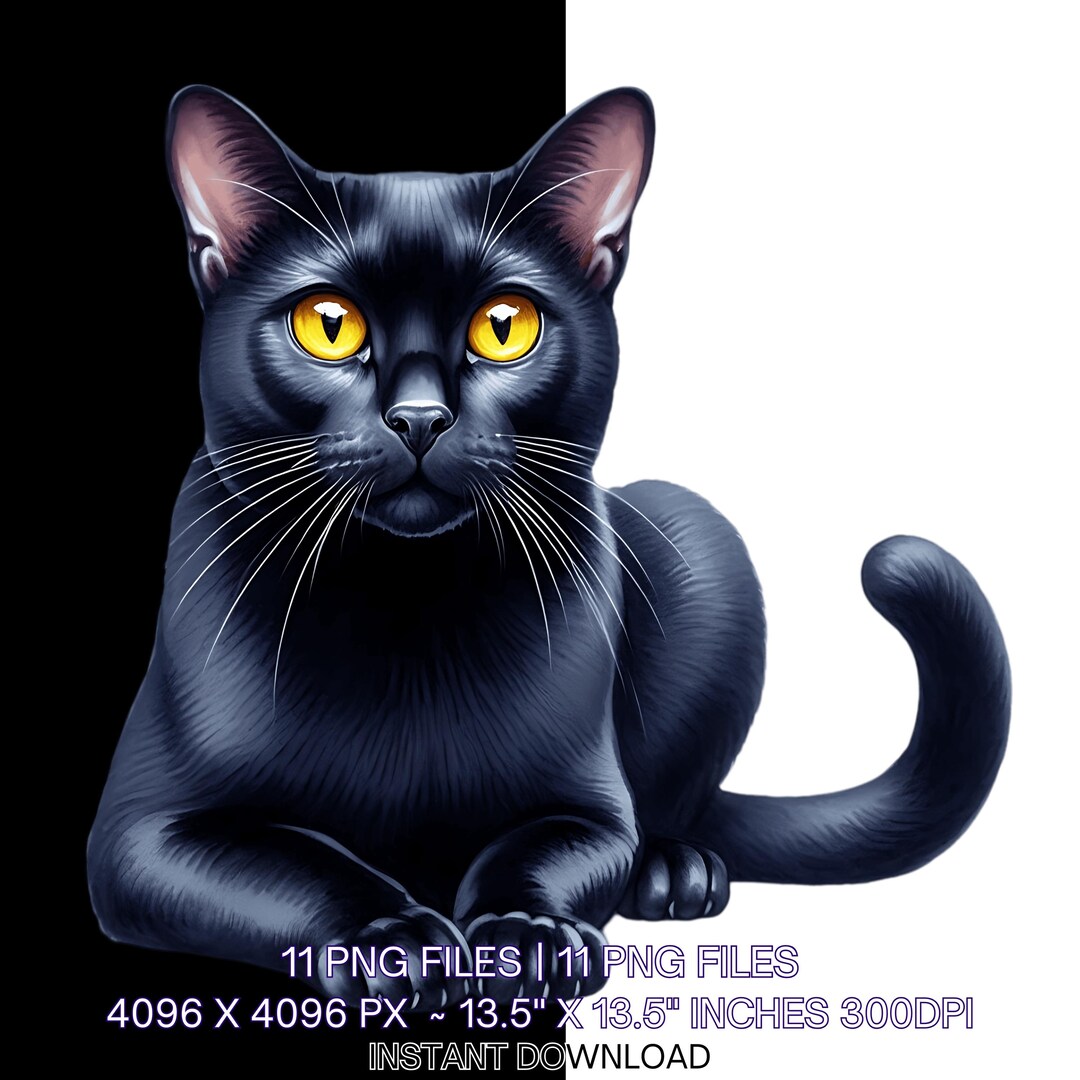 Black Cat Clipart Bundle: Watercolor Style (PNG, JPG Digital Download ...