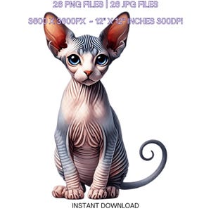 26 imágenes prediseñadas de gatito esfinge, tarjetas con gatos en acuarela como mascota, álbumes de recortes, ilustraciones de sublimación para uso comercial