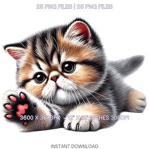 25 Exotic Shorthair Kitten PNG Clipart for Pet Portrait, Watercolor Pet Card Making Scrapbooking Junk Journaling, Sublimation Commercial Use