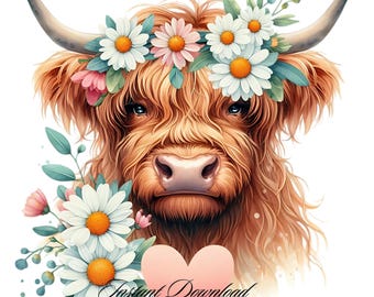 Highland Cow Watercolor Clipart: Spring Daisy Flowers (PNG, JPG)
